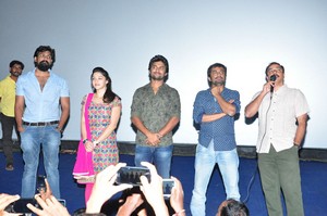 Krishna Gadi Veera Prema Gaadha success tour Nizam